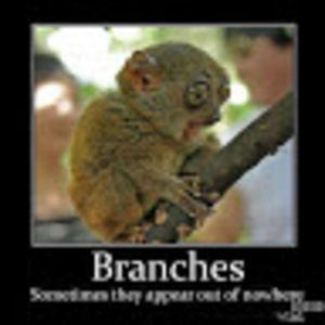 Meet your Posher, Ben